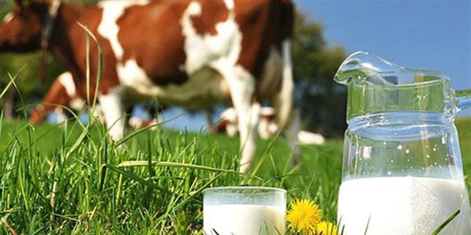 Bakanlk zmir'de st iletmelerine ynelik kontrol gerekletirdi