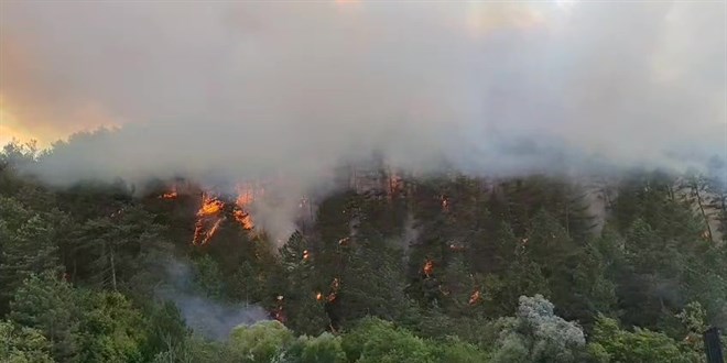 Bolu'da ormanlık alanda çıkan yangın kontrol altına alındı
