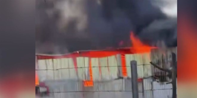 Bursa'da �iftlikte korkutan yang�n: Kontrol alt�na al�nd�