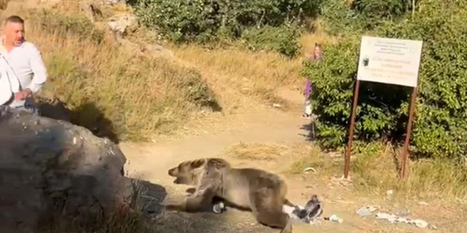 Kuca��nda bebekle ay� sald�r�s�na u�rad�