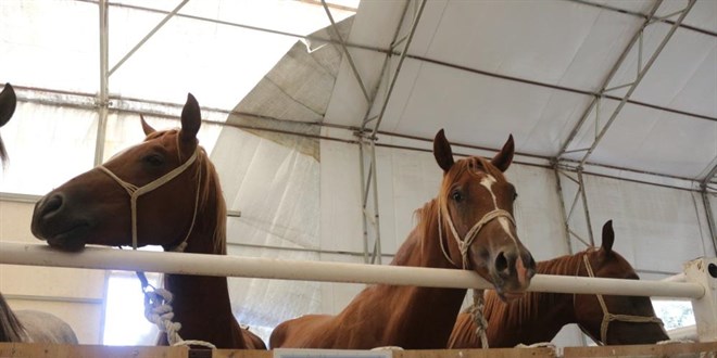 58 tay 25 milyon liraya sat�ld�