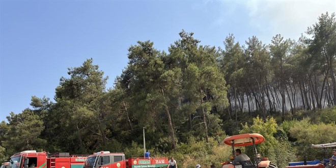 Orman yangnnn sebebi yine 'Kaynak makinesi'