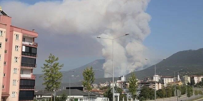 Denizli'deki orman yangnyla ilgili 1 kii yakaland