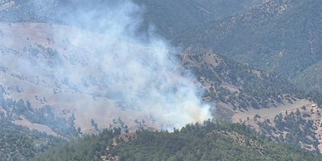 Adana'da orman yangn: Mdahale sryor