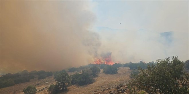 Balıkesir'de orman yangını çıktı