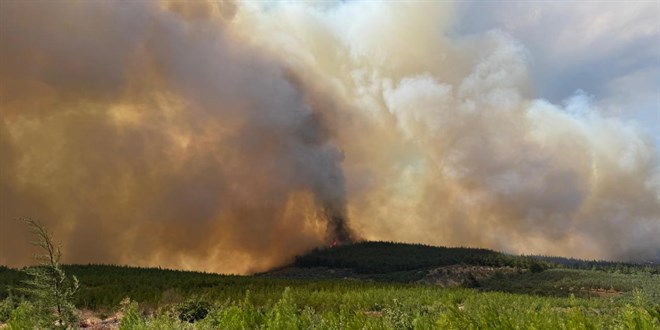 Bursa'da çıkan orman yangını kontrol altına alındı