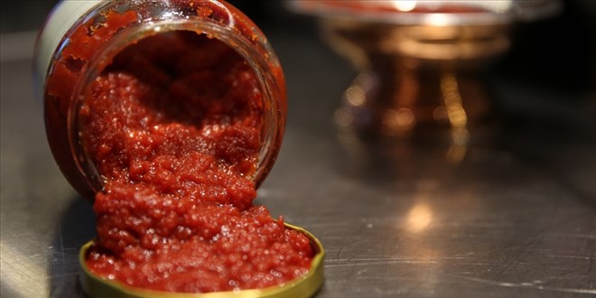 Gaziantep'te hijyensiz salça üretimi yapan işletme kapatıldı