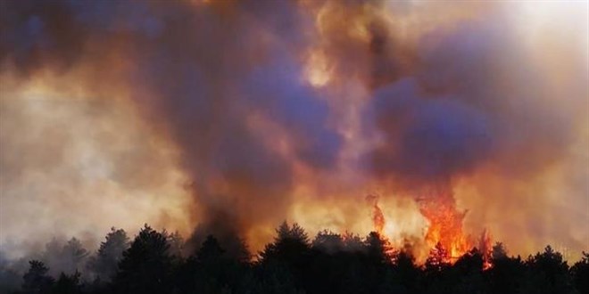 Organik tarmdan ku gzlemine: MEB'den evre dostu mfredat