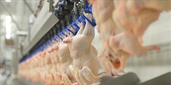 Beyaz ette rekabet krizi: Sözlü savunma toplantısı yapıldı