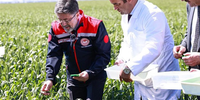 Küçük Çiftçiye Güvence, Tarıma İvme: Sözleşmeli Üretim