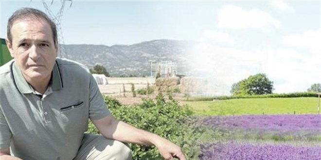 Değersiz sanılan otlardan servet üretiyor!