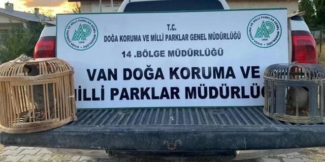 Kaak keklik avlayan kiiye 48 bin lira ceza