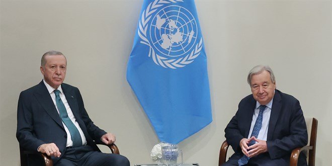 Erdo�an, BM Genel Sekreteri Guterres ile g�r��t�