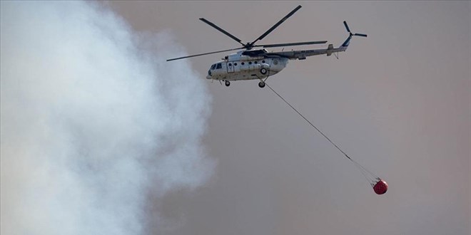 Konya'da sazlık alandaki yangın ormana sıçradı