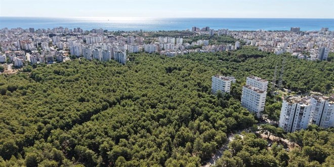 55 yllk miras davas: Doal sit kararyla karmaa derinleti