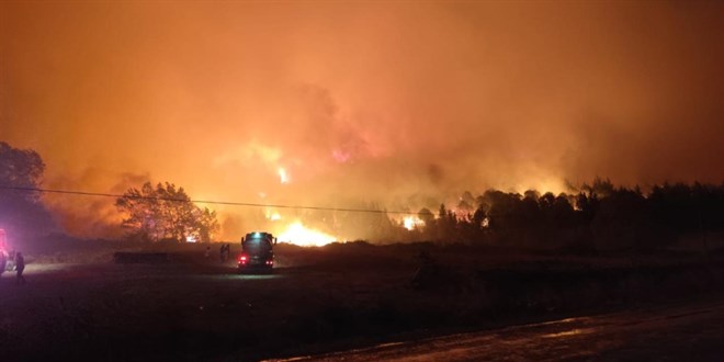Bursa'da çıkan orman yangını kontrol altına alındı