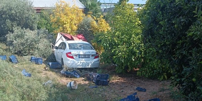 Mersin'de otomobil zeytin toplayan iilere arpt: 1 l, 3 yaral