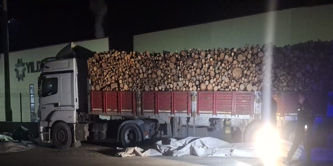 Brandayı toplarken otomobilin çarptığı TIR sürücüsü öldü