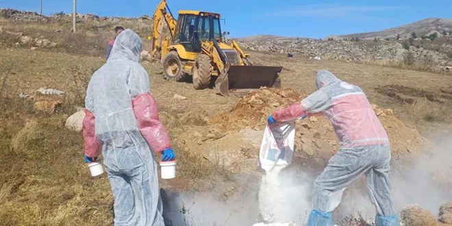 O ilde 'şarbon' alarmı: 6 köye giriş çıkış yasaklandı
