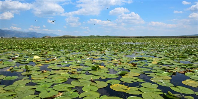 Biyoeitlilik ve habitatn korunmas iin gelitirilen projeler desteklenecek