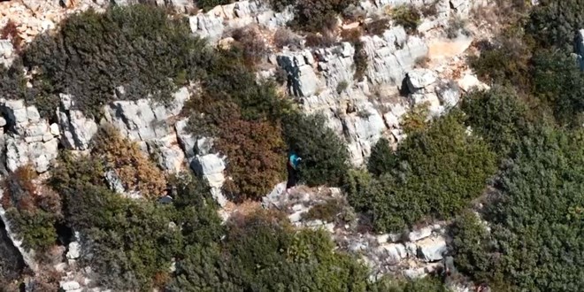 Hatay'da 9 kaak avc, drone ile tespit edildi