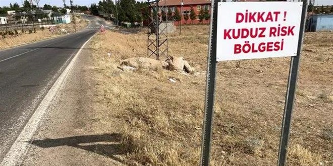 Trkiye'nin 'kuduz' ayb! Ylda 500 bin kii a oluyor