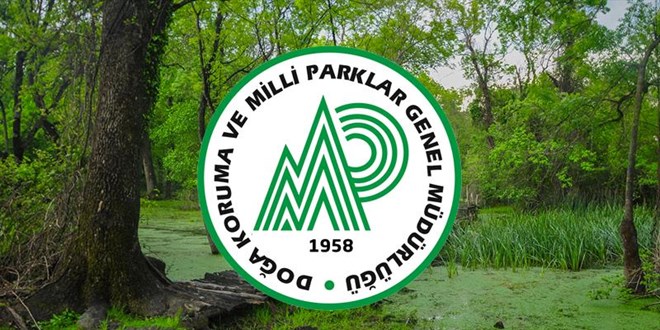 Doa Koruma ve Milli Parklar Genel Mdrl 240 personel alacak