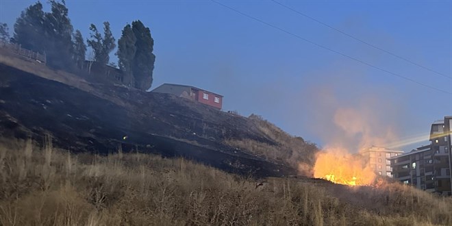 Havai fişekler otluk alanda yangına neden oldu