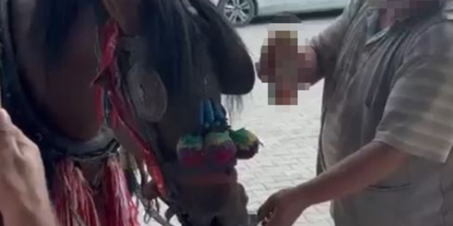 'Bu kadar olmaz' dedirten grntler: Fayton eken ata alkol iirdiler