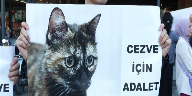 Kediye ikence davasnda sana 3 yl 8 ay hapis cezas