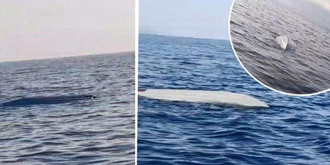 Karadeniz'de ikinci alarm! Sahil Gvenlik inceleme yapyor