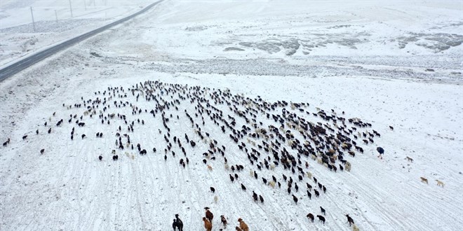 Kars'ta göçerler kar yağışına yakalandı