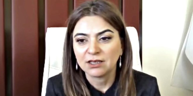 DEM partili vekil özür diledi