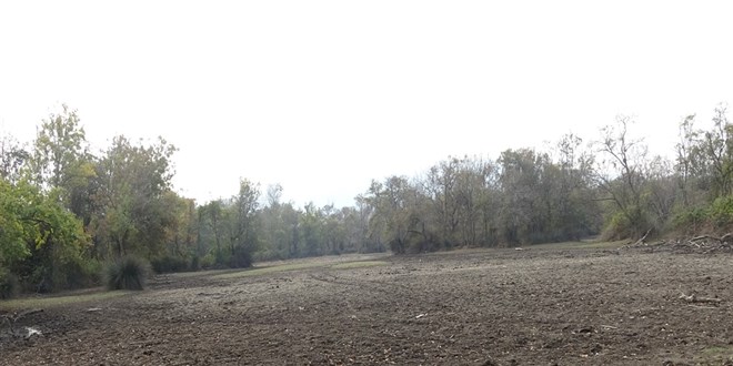 Türkiye'nin 3'üncü büyük longozu da kurudu