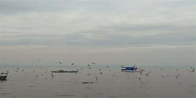 zmir Krfezi'nde kirlilie bal kt koku sahillerde etkisini artrd