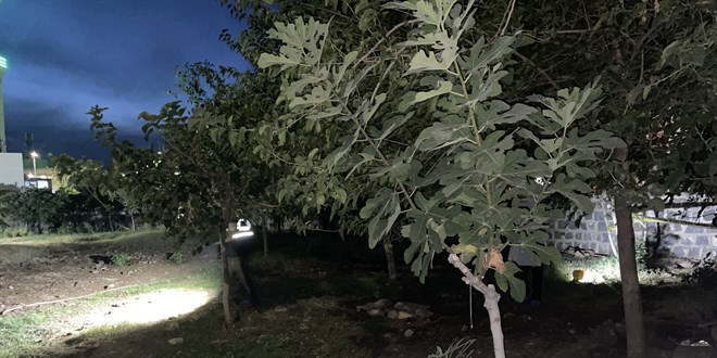 Cami bahçesine gömülmüş bebek cesedi bulundu