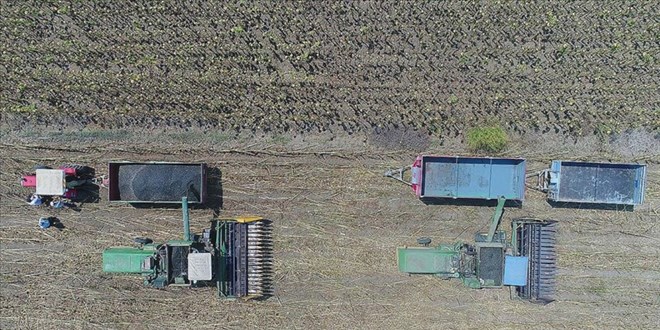 Çiftçilere yaklaşık 2,8 milyar lira destekleme ödemesi yapıldı - Son Dakika Haber