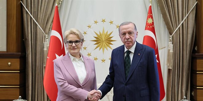 Sessizliğini bozdu: Meral Akşener'den aylar sonra ilk mesaj - Son Dakika Haber