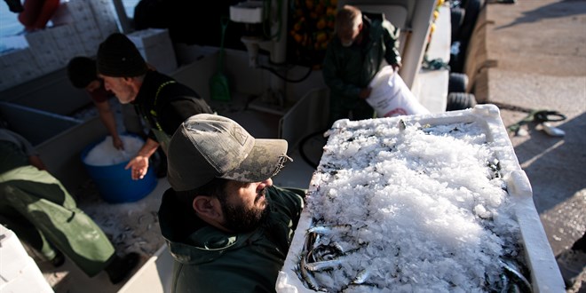 Maalar 80 bine dayand! Futbolcu gibi baka teknelere transfer oluyorlar