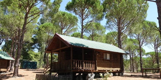 Bungalov kiralama vaadiyle milyonluk vurgun: 22 tutuklama