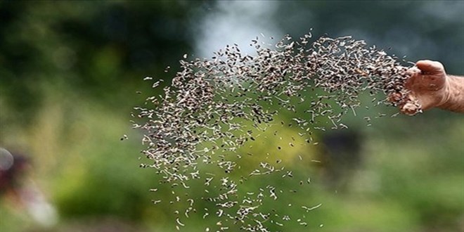 Tohumculuun Zirveye Yry Sryor!