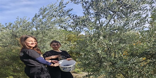 MEB'in 'Yeil Vatan' Projesi hayat buldu: Zeytinler klk kahvaltla dnt!