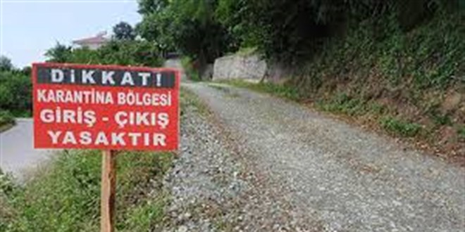 Aydın'da 'şap hastalığı' nedeniyle 34 mahalle karantinaya alındı - Son Dakika Haber