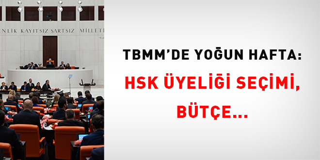 TBMM'de youn hafta: HSK yelii seimi, bte