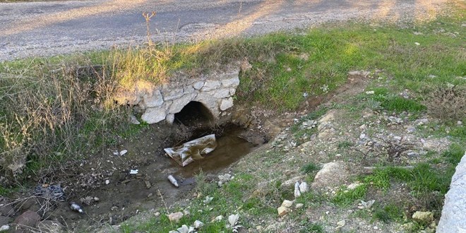 anakkale'de bo arazide yeni domu bebek cesedi bulundu