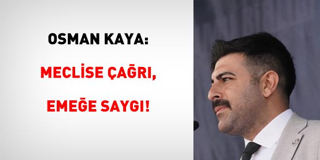 Osman Kaya: Meclise ar, Emee Sayg! - Son Dakika Haber