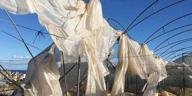 Ekimde reticilere 11,6 milyar lira hasar tazminat dendi - Son Dakika Haber