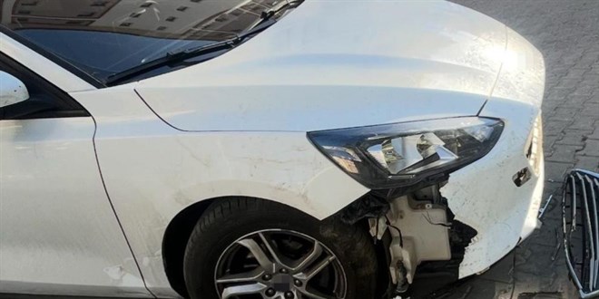 Sivas'ta babo kpekler otomobile 108 bin liralk zarar verdi