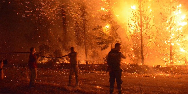 anakkale'de 2025 ylnda kan orman yangnlarda bilano - Son Dakika Haber