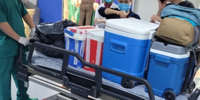 Trkiye organ naklinde rnek lkeler arasnda - Son Dakika Haber